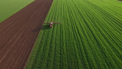 Aerial view of tractor spraying wheat field Stock-Footage 72613044