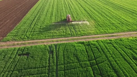 Aerial view of tractor spraying wheat field Stock-Footage 72613352