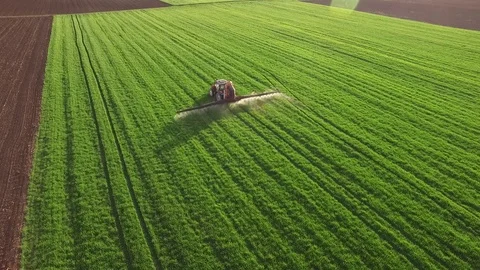 Aerial view of tractor spraying wheat field Stock-Footage 72614546