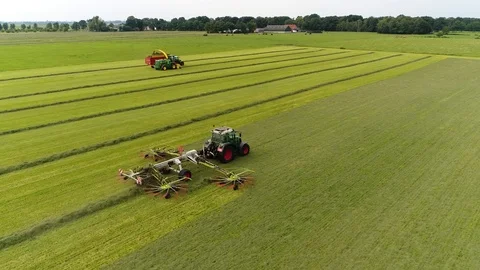 Aerial view of tractor windrowing creating rows of mown dried grass 4k Stock Footage 119199351