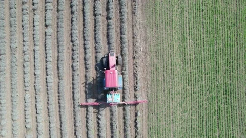 Aerial view, tractor working on a lavender field. Stock Footage 233776301