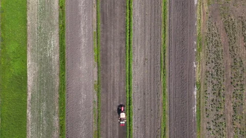 Aerial View of a Tractor Working in Parallel Agricultural Fields Stock Footage 304290432