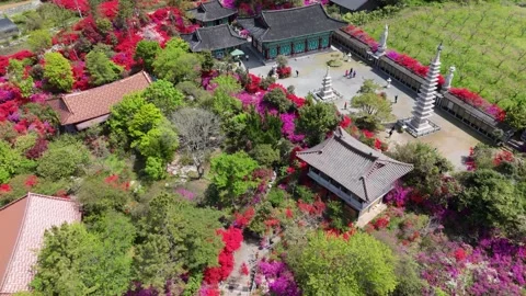 Aerial View of Traditional Temple Complex 動画素材 325653899
