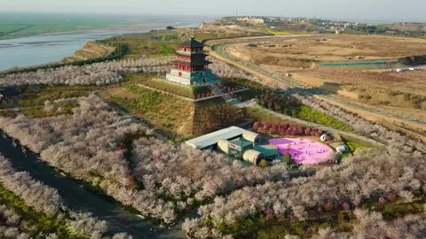 Aerial View of Traditional Tower Surrounded by Cherry Blossoms in Park Stockbeeldmateriaal 334828997