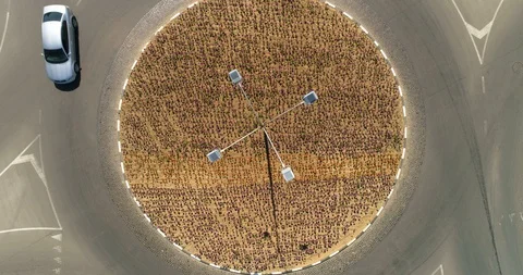Aerial View of the traffic circle planted with purple tulips. 4k Stockbeeldmateriaal 120997231