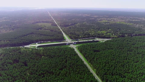 Aerial view of the traffic intersection. Two highways. A track in a coniferous Video stock 158432130