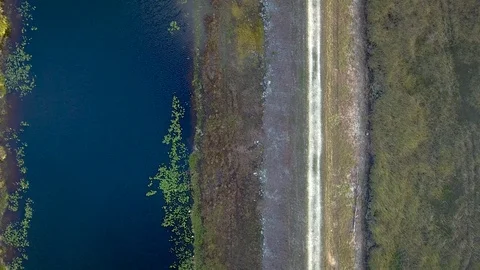 Aerial View of Trail by the Everglades Stock Footage 78991859