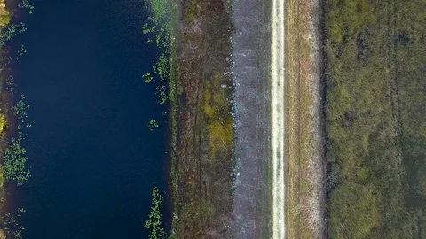 Aerial View of Trail by the Everglades Stock Footage 78992689