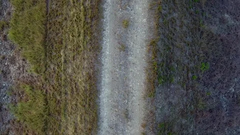 Aerial View of Trail by the Everglades Stock Footage 78992885