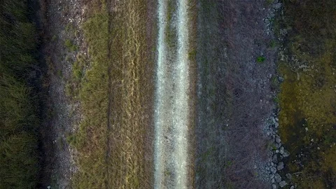 Aerial View of Trail by the Everglades Stock Footage 78992913