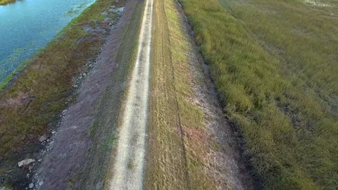 Aerial View of Trail by the Everglades Stock Footage 78992923
