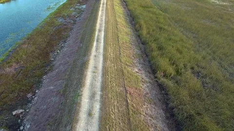 Aerial View of Trail by the Everglades Stock Footage 78992935