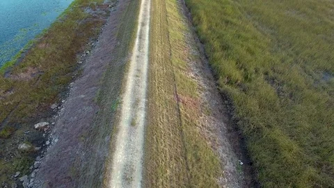 Aerial View of Trail by the Everglades Stock Footage 78992941