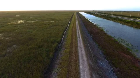 Aerial View of Trail by the Everglades Stock Footage 79008922