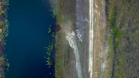 Aerial View of Trail by the Everglades Stock Footage 79009552