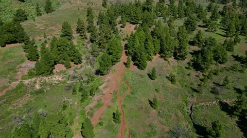 Aerial view of a trail runner descending Stock-Footage 293314154