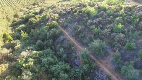 Aerial view of a trail runner on a mountain Stock-Footage 100770209