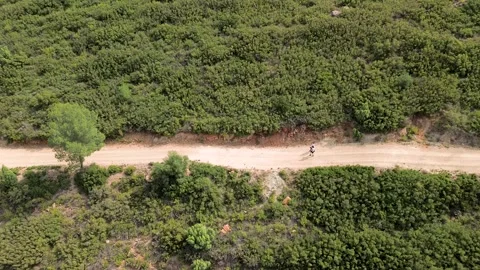 Aerial view of a trail runner training on a dirt road in the mountains Stock Footage 336700051
