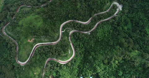 Aerial view of trails in forest Stock Footage 132225285