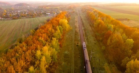 Aerial view: train among tree band at the rural scene in autumn. Video stock 139372070