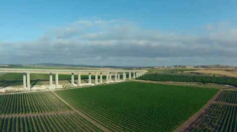 Aerial view of train bridge and vineyard Video stock 38417695