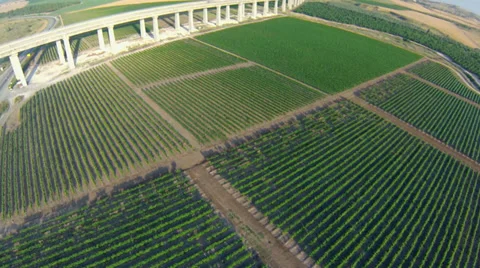 Aerial view of train bridge and vineyard Stock Footage 38418788