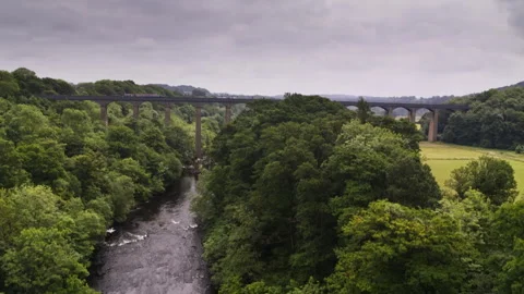 Aerial view of a train crossing a viaduct over a river Video stock 336754256