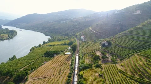 Aerial view train in Douro valley Stock Footage 107923499