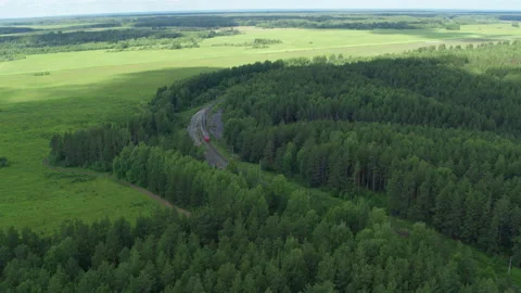 Aerial view of the train that goes through the forest and fields Stock Footage 145912891