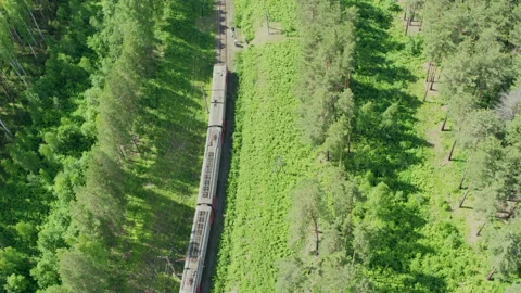 Aerial view of the train that goes through the forest and fields Stock Footage 145914818