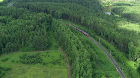 Aerial view of the train that goes through the forest and fields Video stock 146144950