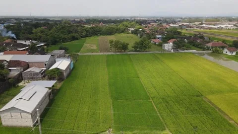 Aerial view of the train line in the middle of residential rice fields Stock Footage 259932127