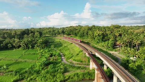 Aerial View of Train Passing Through a Lush Countryside Stock Footage 269747624