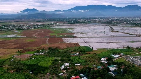 Aerial View Of A Train Riding Through Rice Fields. Drone Footage Stock Footage 282801191
