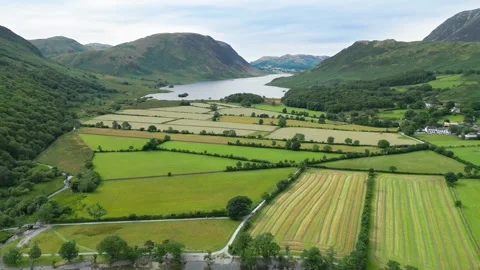 Aerial view of tranquil green fields beside calm water Stock Footage 345523605