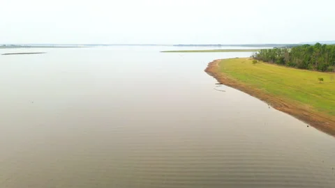 Aerial view, tranquil meadow beach with jungle at lake. Dolly shot Stock Footage 203432945