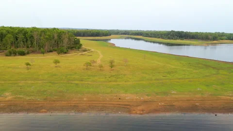 Aerial view, tranquil meadow beach with jungle at lake. Truck shot Stock Footage 203434264