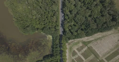 Aerial view of tranquil Parc des Oiseaux and lake, France. Stockbeeldmateriaal 284842712