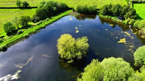 Aerial view of a tranquil pond surrounded by lush green trees and rural farmland Stock Footage 343887618