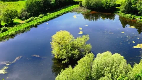 Aerial view of a tranquil pond surrounded by lush green countryside fields Stock Footage 343888021