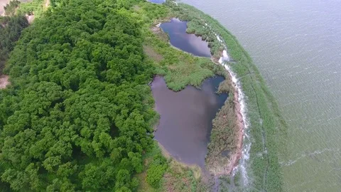 Aerial view of tranquil  river with green landscape Stock Footage 83262580