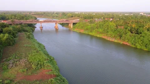 Aerial view tranquil stream flows through thick green foliage Stock Footage 312035072