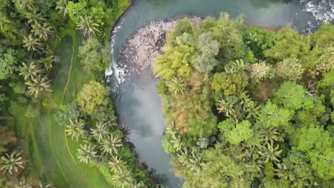 Aerial view of tranquil winding river, Stock Footage 251695683