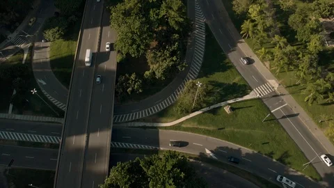 Aerial view of transit on an overpass in green urban environment at sunrise. Stock Footage 105691620