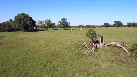 Aerial view of Tree and Hay Bales in Open Pasture Stock Footage 80122278
