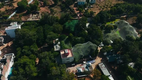 Aerial view of tree canopies and buildings, India. Stock Footage 325711083