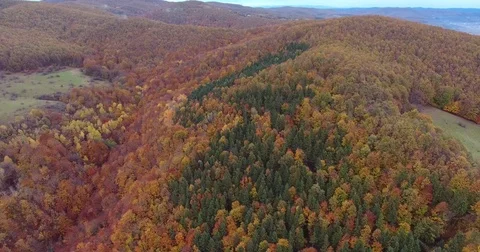 Aerial view of tree covered hills in autumn Stock Footage 82104230