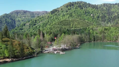 Aerial view of tree covered lake in Borcka in summer Stock Footage 294077352