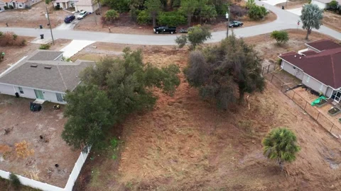 Aerial View of Tree-Covered Lot with Adjacent Houses and Road Stock-Footage 333939733