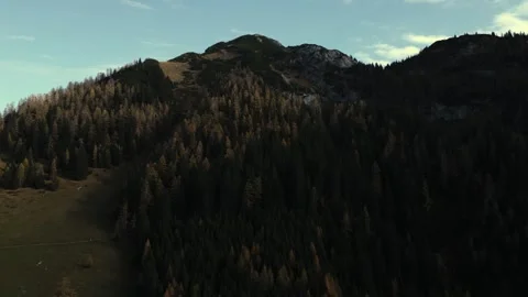 Aerial view of tree covered mountain, Austria. Stock Footage 312867264